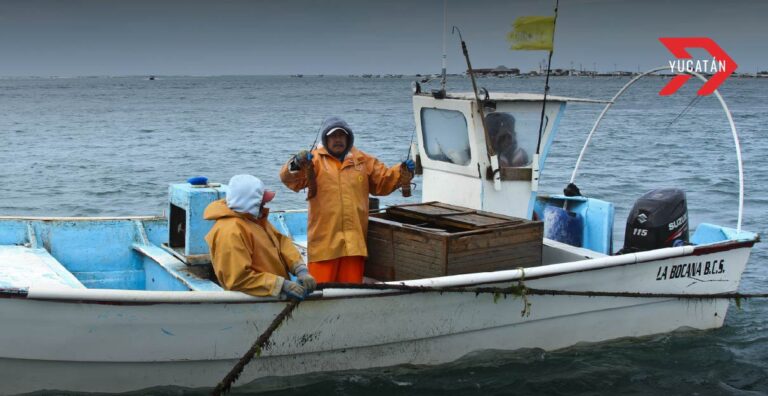 Crisis pesquera en Yucatán: Capturas en picada por pesca furtiva y mal tiempo
