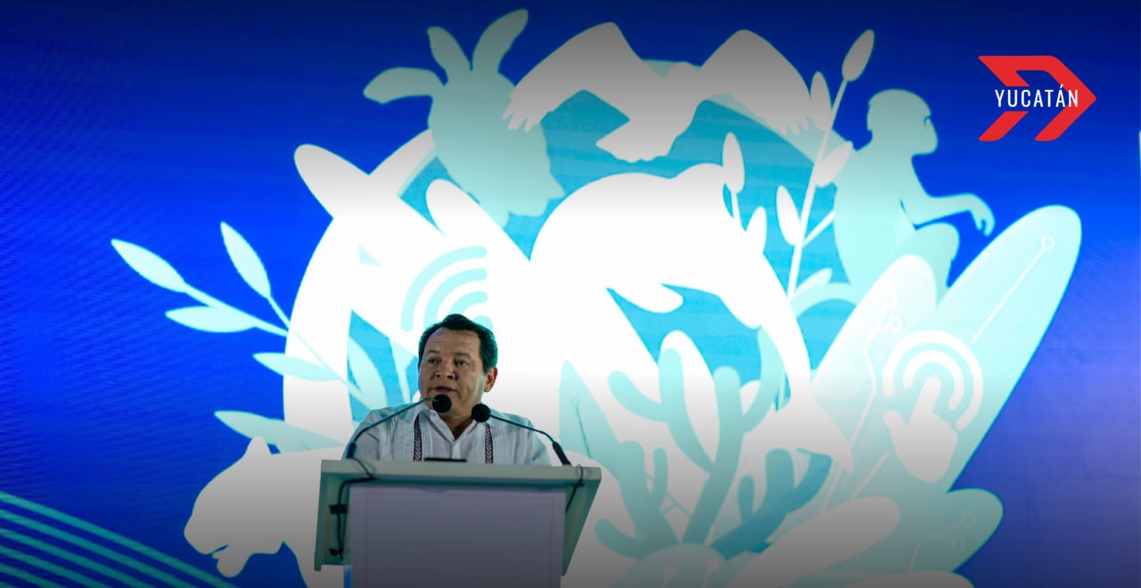Yucatán protege al jaguar y puma con apoyo de Huawei en fase 2 del proyecto