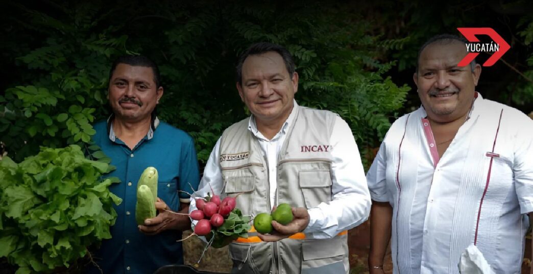 Gobierno de Yucatán destina 40 millones para caminos sacacosechas en municipios rurales