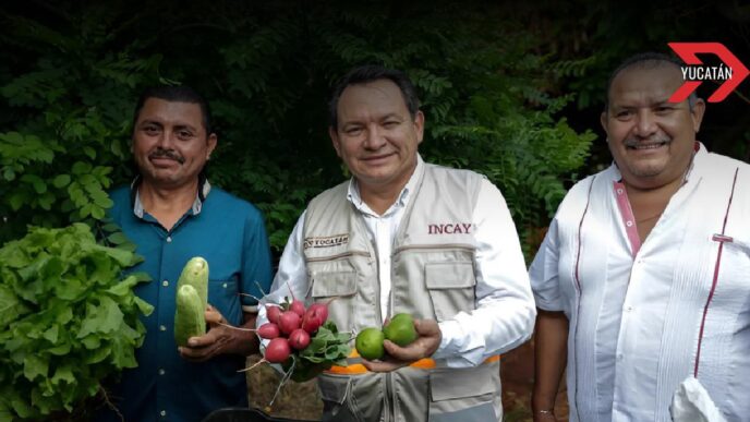 Gobierno de Yucatán destina 40 millones para caminos sacacosechas en municipios rurales