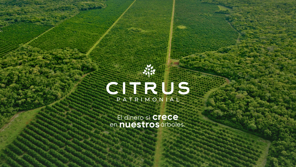 Citrus Patrimonial