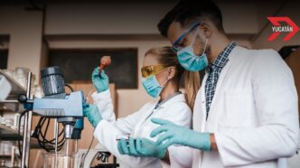Yucatán impulsa la ciencia con el programa “Investigadoras e investigadores por Yucatán”